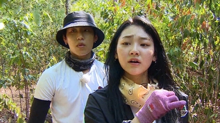 Law Of The Jungle Watch Law Of The Jungle Episode 274 Online With Kocowa