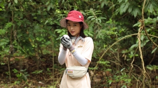 Law Of The Jungle Watch Law Of The Jungle Episode 274 Online With Kocowa